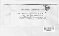 Image Associated With the Occurence